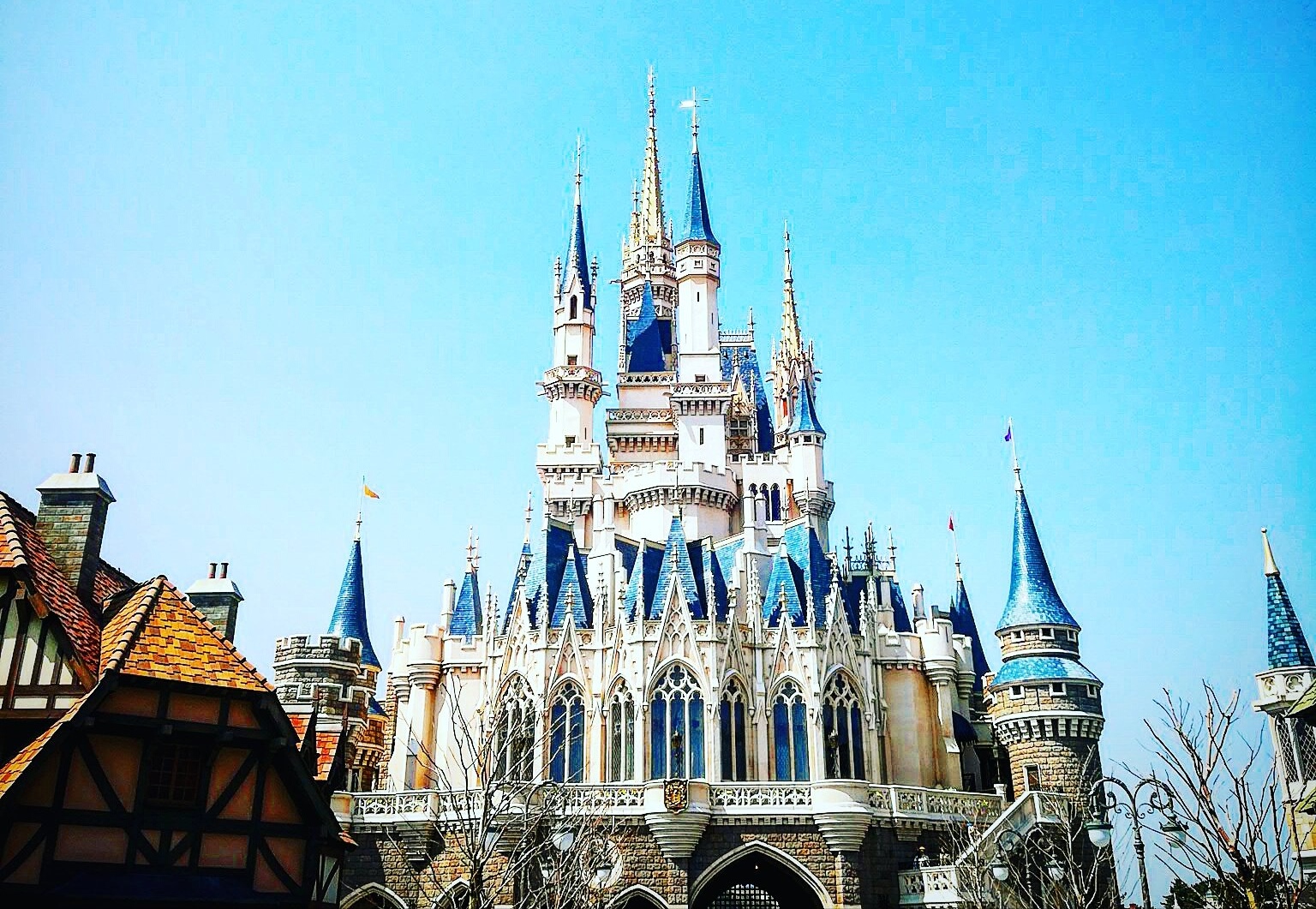 東京ディズニーランド / シンデレラ城