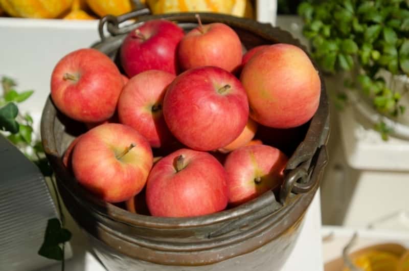 離乳食初期のりんごは栄養満点 保存方法や下ごしらえ 簡単すりおろしレシピを大公開 ママびよりウェブ