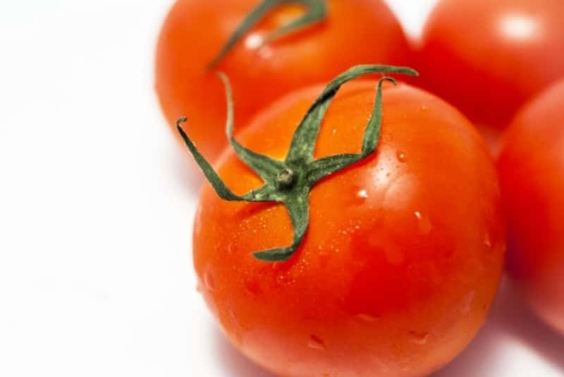 離乳食後期 栄養豊富 見た目も鮮やかなトマトを使ったおすすめレシピ ママびよりウェブ