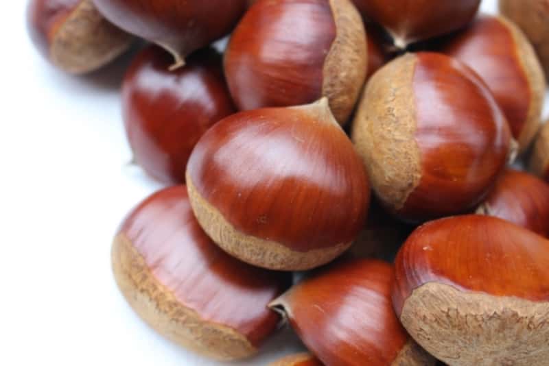 離乳食に栗(くり)はいつから?中期・後期から秋の旬の楽しめる栗レシピ | ママびよりウェブ