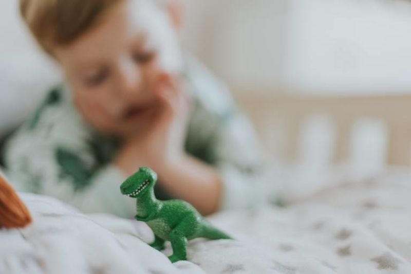恐竜好きの子供が大喜び おすすめフィギュア 知育おもちゃ15選 ママびよりウェブ